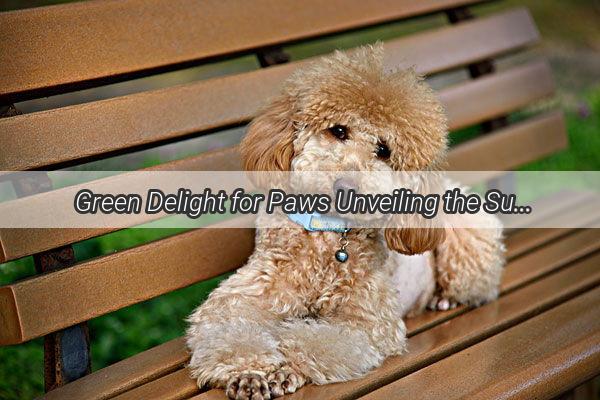  Green Delight for Paws Unveiling the Surprising Benefits of Raw Broccoli Leaves for Your Furry Friend